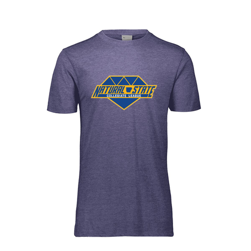[FTSCUBRY-AS-LOGO2] Men's Ultra-blend T-Shirt (Adult S, Royal, Logo 2)